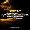 Dimly Lit (feat. Flowers and Sea Creatures & Augustine Wrong) cover art