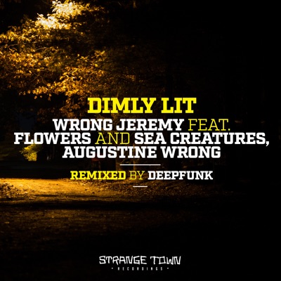 Dimly Lit (feat. Flowers and Sea Creatures & Augustine Wrong) cover art