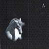 Лошадь белая - Akvarium