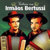 Tributo Aos Irmãos Bertussi, 2015