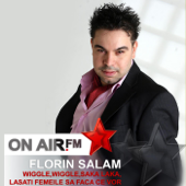 Wiggle,Wiggle,Saka Laka,Lasat - Florin Salam