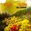 Delirmis Bu Gonlum