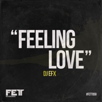 Feeling Love - Single - DJ EFX
