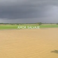 Amor Salvaje - Single - Cholo Valderrama Amor Salvaje - Single - Cholo Valderrama