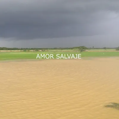 Amor Salvaje - Single - Cholo Valderrama