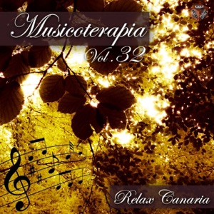 Musicoterapia, Vol. 32 (Momento relax)