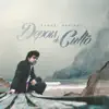 Marcas da Dor