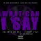 What Can I Say (feat. Andy Yola) - Bolomix da One & Andy Yola lyrics