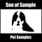 The Sweet Forever - Son of Sample lyrics