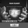 Sugar House feat Franco D'Alicandro - Mad Flight (2Deep & Soul Remix)