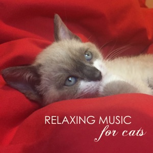Relaxing Music for Cats - Soothing Classical Songs and Ambient Nature Sounds for Pet Therapy