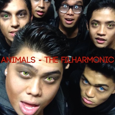 Animals - Single