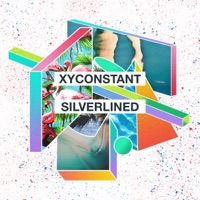 Silverlined - Single - XYconstant