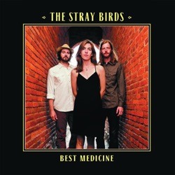 The Stray Birds - Best Medicine