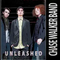 The Night — Chase Walker Band