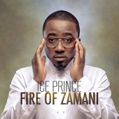 Fire of Zamani artwork