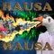 Hausa Wausa - Mr. Polska lyrics