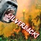 Silverback - Gorilla Mask lyrics