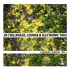 Balint Szabo  30 Chillhouse, Lounge & Electronic Trax - A Kutmusic Sampler, Vol. 3