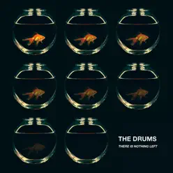 There Is Nothing Left (Remixes) - Single - The Drums