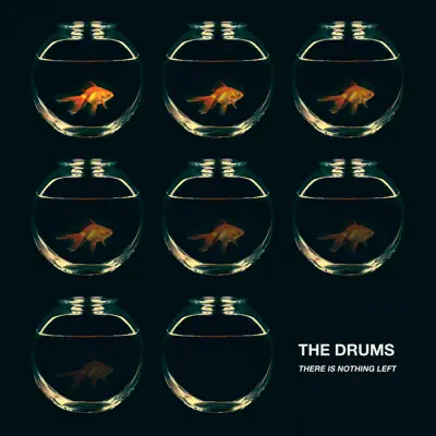 There Is Nothing Left (Remixes) - Single - The Drums There Is Nothing Left (Remixes) - Single - The Drums