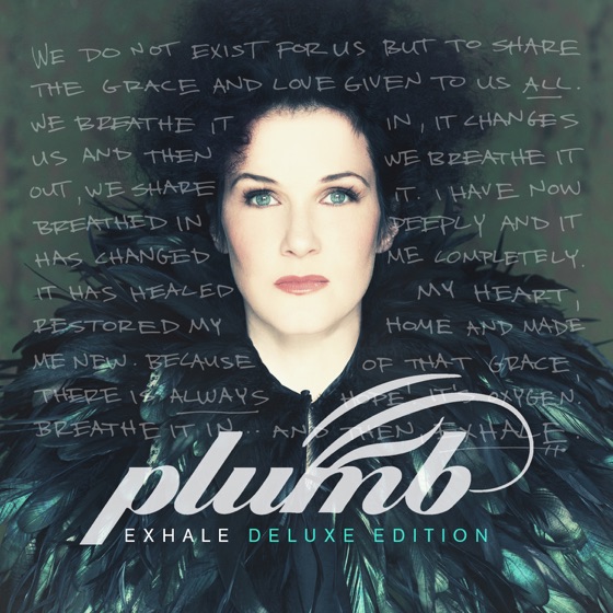 Cover artwork for Champion