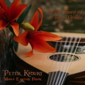 Peter Kfoury - The N Rail