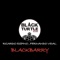 Blackbarry - Ricardo Espino & Fernando Vidal lyrics