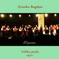 Ne Mogu Setit Se Leta