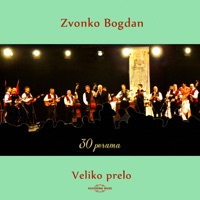 Ne Mogu Setit Se Leta