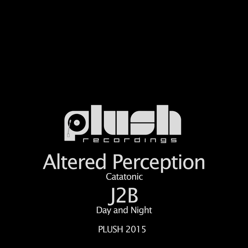 Обложка альбома «Catatonic / Day and Night - Single» — Altered Perception & J-2B