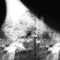 Asunder, Sweet - Godspeed You! Black Emperor lyrics