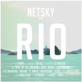 Rio (feat. Digital Farm Animals) artwork