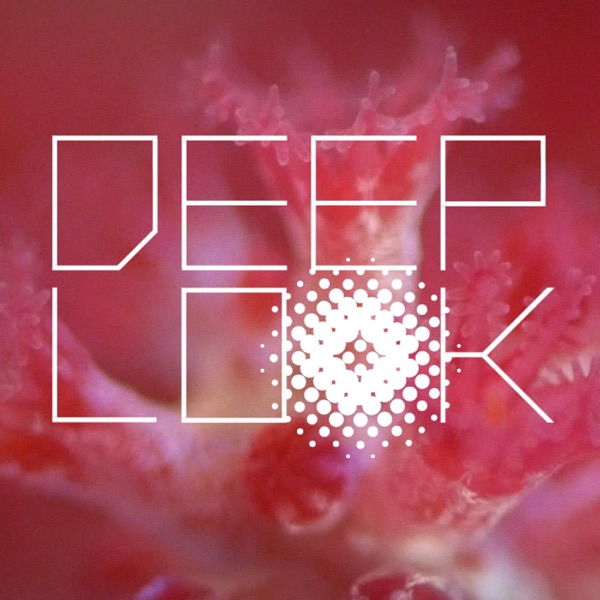 Deep Look cover