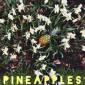 Pineapples artwork