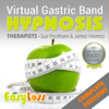 Instructions for Using the Easyloss VGB Programme - Sue Peckham & James Holmes