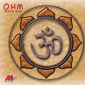 Ohm (Cosmic Nrg Mix) artwork