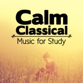 Calm Classical Music for Study artwork