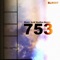 753 (Black Acid Voodoo Remix) - Sinisa Lukic lyrics