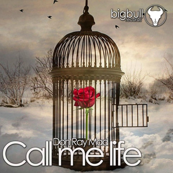 Call Me Life - Single