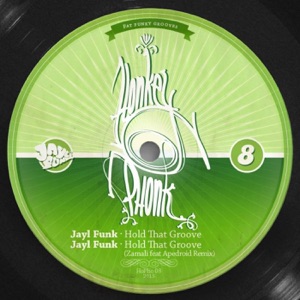 Hold That Groove - Single