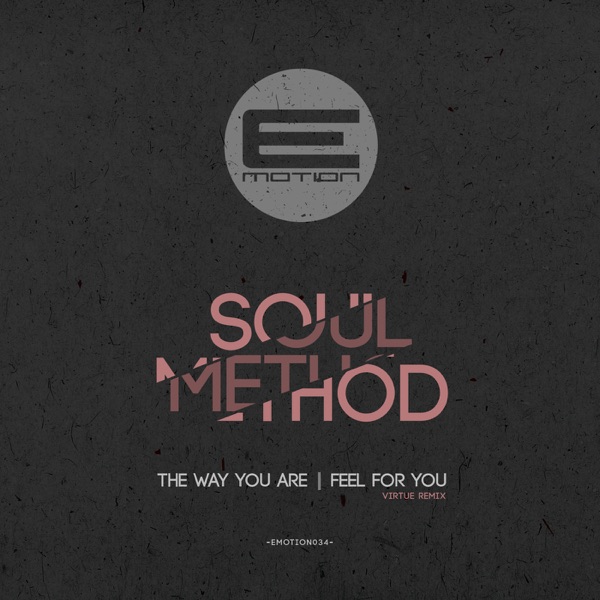 The Way You Are / Feel For You Remix - Single