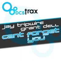 Can't Forget You - Single - Jay Tripwire & Grant Dell