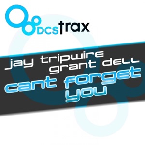 Can't Forget You - Single