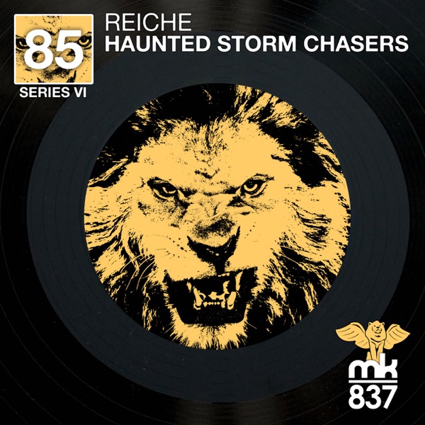 Haunted Storm Chasers - Single