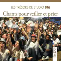 Qu'il est formidable d'aimer — Jean-Claude Gianadda