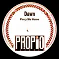 Carry Me Home