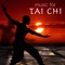 Yin & Yang - Tai Chi lyrics