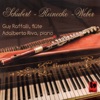 Carl Maria Von Weber Flute Sonata, Op. 167, "Undine": I. Allegro Franz Schubert - Carl Reinecke - Carl Maria von Weber: Works for Flute and Piano on Period Instruments
