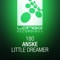 Little Dreamer (Ariel & Danilo Remix) - Anske lyrics
